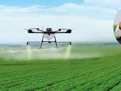 Hướng dẫn tự phối trộn phân bón lá cho cây rau màu, cây đậu giai đoạn nảy chồi, ra lá