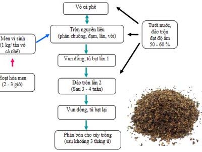 Quy trình xử lý vỏ cà phê làm phân bón cho cây trồng