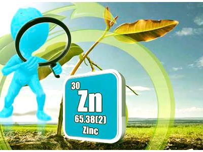 Kẽm (Zn) - Zinc